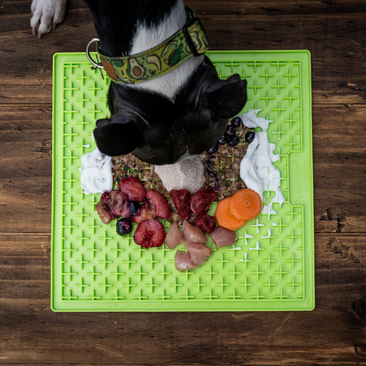 Importancia de los microorganismos que habitan el cuerpo de tu perro o gato