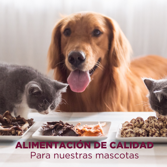 Alimentación de calidad para nuestras mascotas