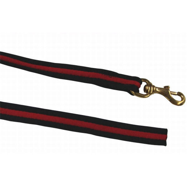 Correa de poliéster con mosquetón de bronce