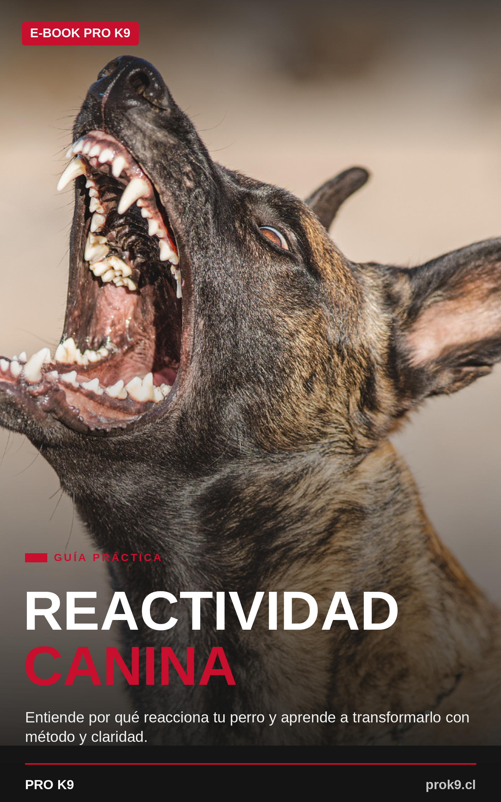 E-book Reactividad canina