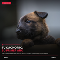 Tu cachorro, su primer año E-book Digital