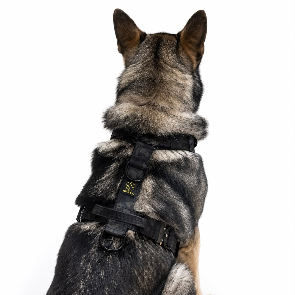 arnes talla m camuflaje para perros eurojoe
tactico