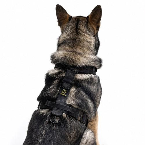 arnes talla m camuflaje para perros eurojoe
tactico