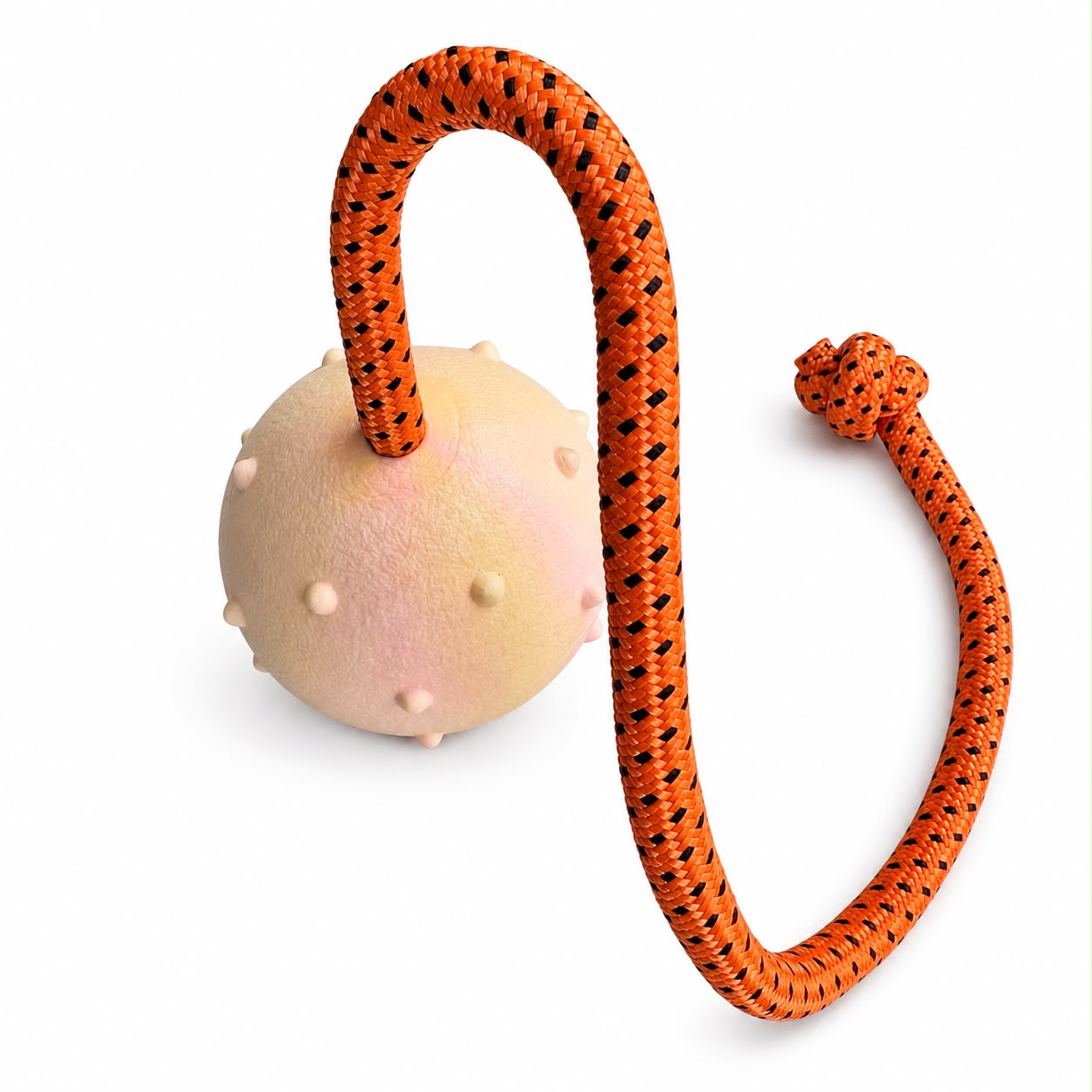 Pelota de recompensa talla M con cuerda para entrenamiento de perros marca eurojoe