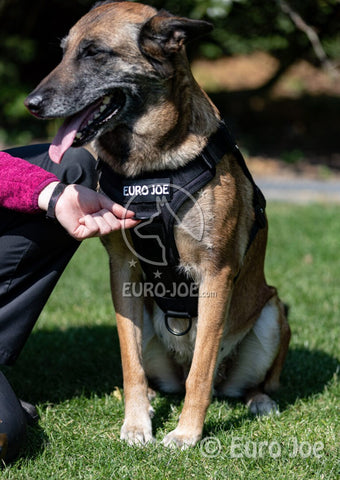 Arnés nylon 'Tactical' Negro L