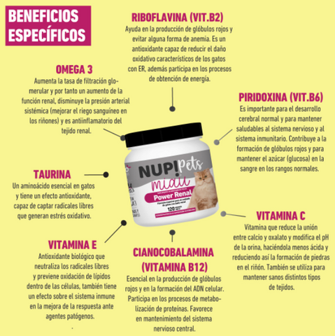 Power Renal NUP!Pets Miau – coadyudante al daño renal en Gatos (120gr 2 meses)