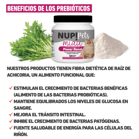 Power Renal NUP!Pets Miau – coadyudante al daño renal en Gatos (120gr 2 meses)